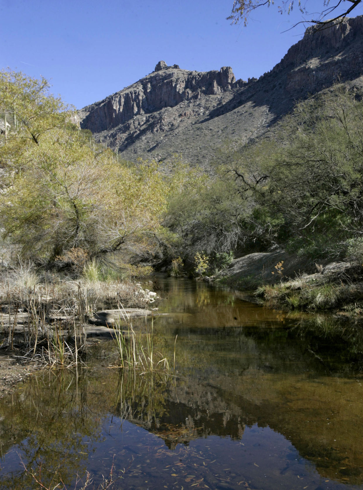 Sabino Canyon